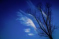 /album/natura/a20140313-img-1855-jpg/