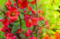 /album/natura/a20140414-20140414-img-3007-jpg/
