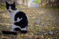 /album/animale/a20141013-img-8158-jpg/